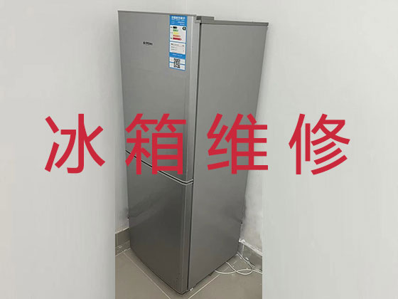 西安专业冰箱安装